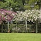 Doolan's Country Retreat - Adults Only - map