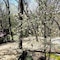5 Ojo Inn Bed And Breakfast - map