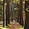 Gideon Putnam Resort And Spa - map
