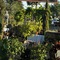 Chardonnay Lodge - map