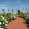 Hotel Garden Club - map