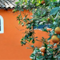 L'orangerie - map