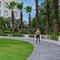 Best Western Country Woods Ambala - map