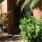 Los Tules Villas Del Sol - map