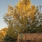 Grand Canyon Bed And Breakfast - map