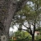 Parkway Inn Airport Motel Miami - map