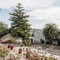 Areca Launceston - map