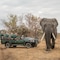 Karongwe- Shiduli Safari Lodge - map