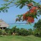 Tijara Beach - map