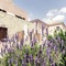 Perivoli Country Hotel & Retreat - map