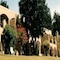 Chobe Game Lodge - map