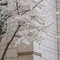 Midtown Shangri-La Hangzhou - map