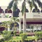 Mercure N'djamena Le Chari - map