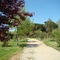 Camping Cap Sud - map