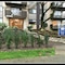 Pelicanstay in Burnaby Lake - map