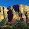Acorn Tree - map