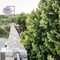Lavender Villas Chania - map