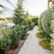 Lavender Villas Chania - map