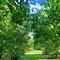 B&B Naturin - Cascina Colombaro - map