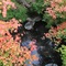 Yumoto Chouza - map