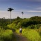 Element By Westin Bali Ubud - map
