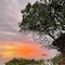 The Island - Pongwe Lodge - Adults Only - map