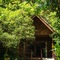 Our Jungle House - map