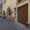 Residenza D Epoca La Basilica - map
