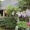 Hope And Glory Inn And Vineyard - map