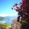Bello!Lake Como Suites - map