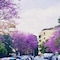 Roma Trastevere Relais Guest House - map
