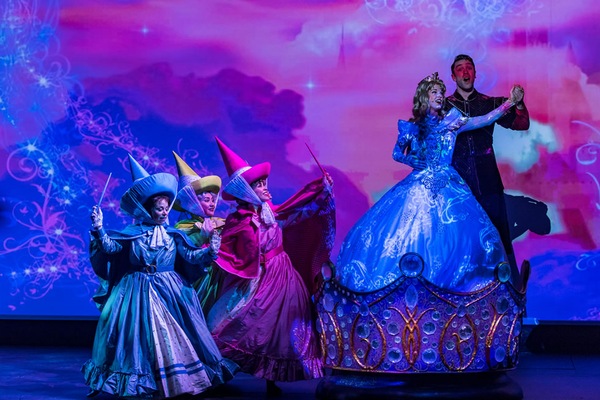 Image Disney Wonder 13