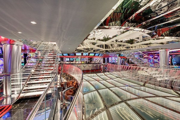 Image MSC Seaview 34