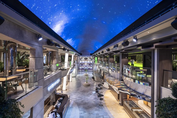 Image MSC Bellissima 43