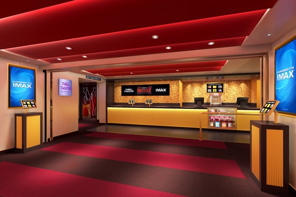 Image Carnival Vista 35