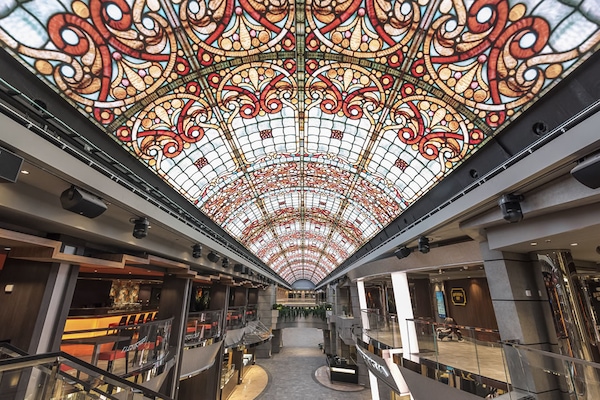 Image MSC Meraviglia 50