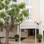 Hotel Menorca Patricia