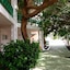 Apartamentos Hsa Ficus