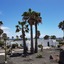 Palmeras Garden