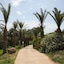 Ascos Coral Beach Hotel