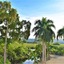 Tropical Casa Laguna