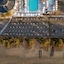 Domes Aulus Zante Autograph Collection