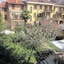 Hotel Adler