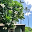 Waimea Plantation Cottages, a Coast Resort