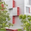 Agora Swiss Night By Fassbind