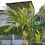 Hotel Villa Augustus