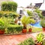 Santo Tomas Hotel
