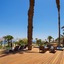 Orchid Eilat