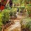 Sunset Bungalows