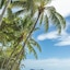 Coral Sands Resort